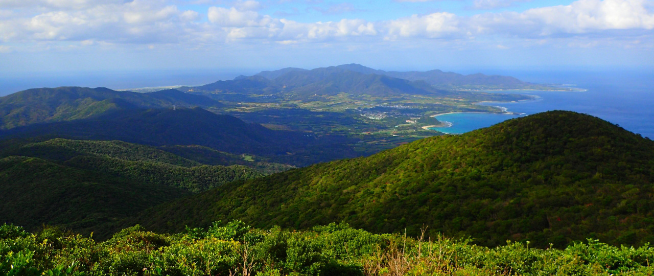 井之川岳